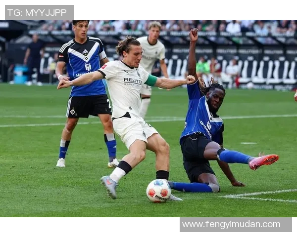 汉堡队在德甲联赛中豪取胜利,继续向冠军进发!