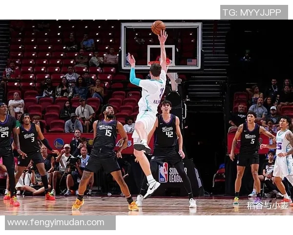 黄蜂队签下高顺位新秀，球队未来前景光明