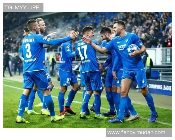 霍芬海姆保持不败,德甲纪录延续至新一轮 霍芬海姆保持不败,德甲纪录延续至新一轮