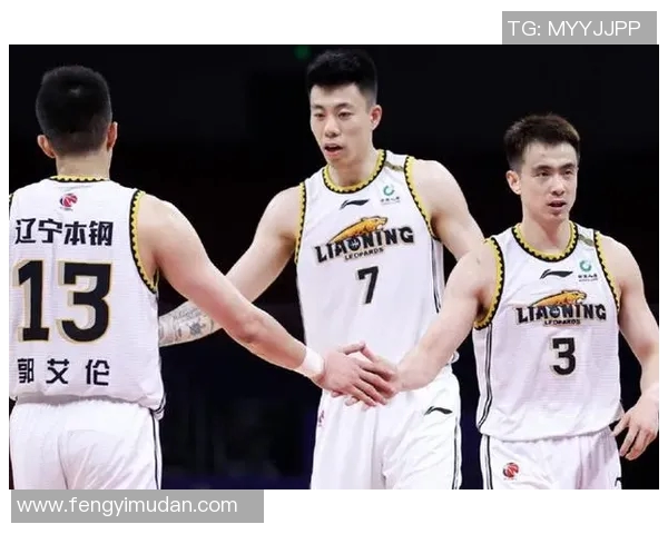 辽宁队新赛季阵容变动，球迷期待新星崛起