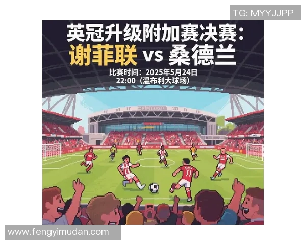 谢菲联客场不敌桑德兰，英超积分榜跌至第十一——战斗仍在继续