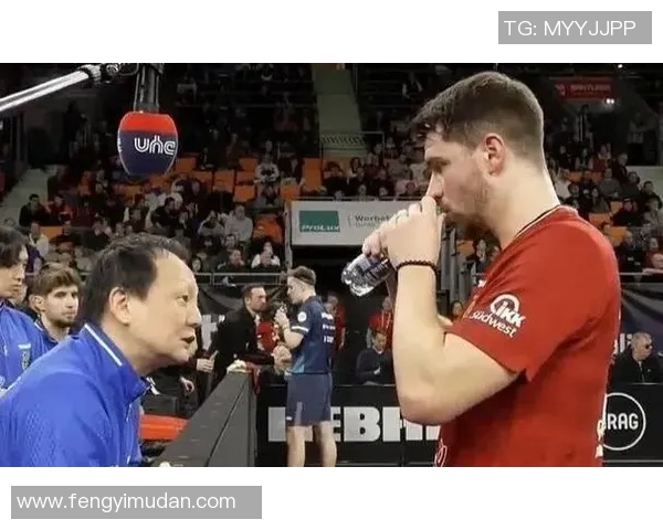 德国杯强队实力对决，擂台上的精彩对决