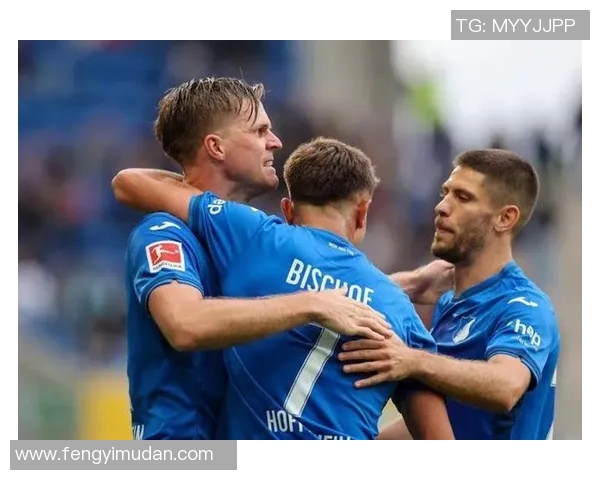 霍芬海姆重燃德甲之火,赢得关键胜利! 霍芬海姆重燃德甲之火,赢得关键胜利!