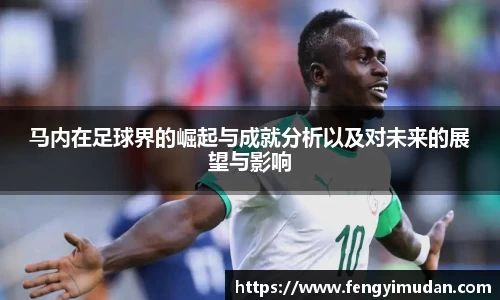 易游体育新版本